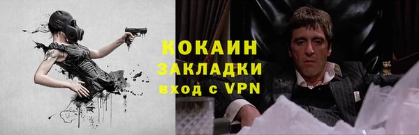 прущие грибы Снежногорск