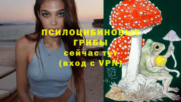 таблы Снежинск