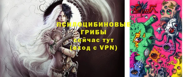 прущие грибы Снежногорск