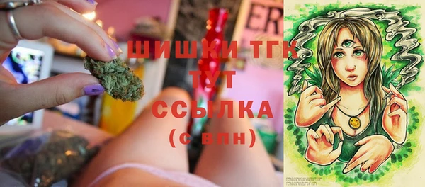 стаф Киреевск