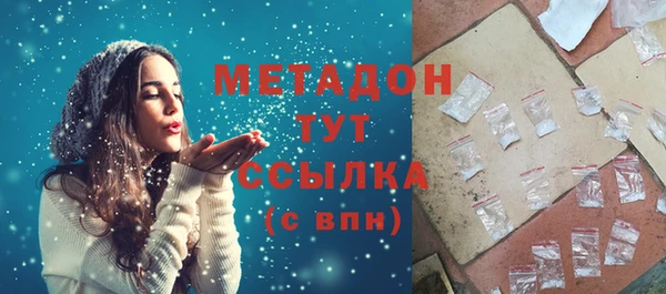 прущие грибы Снежногорск