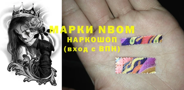 прущие грибы Снежногорск