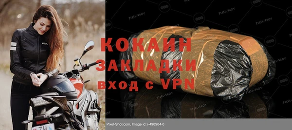 прущие грибы Снежногорск